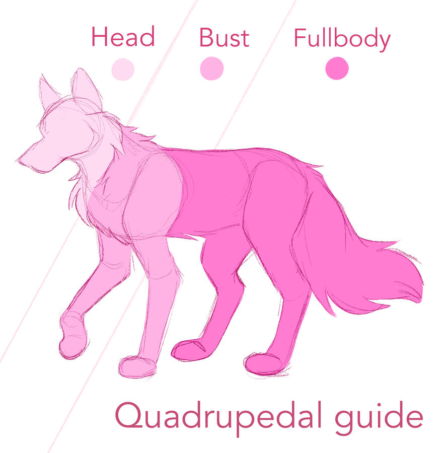 Quadrupedal guide Quadrupedal guide